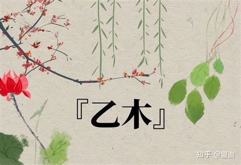 乙木人八字|八字解读——十天干之乙木